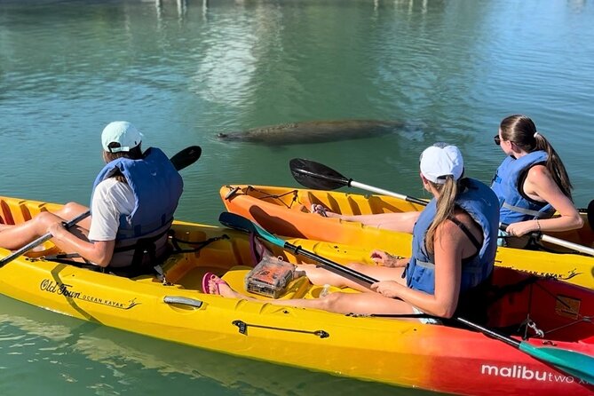 Manatee Discovery Anna Maria Island - Preparing for Your Adventure