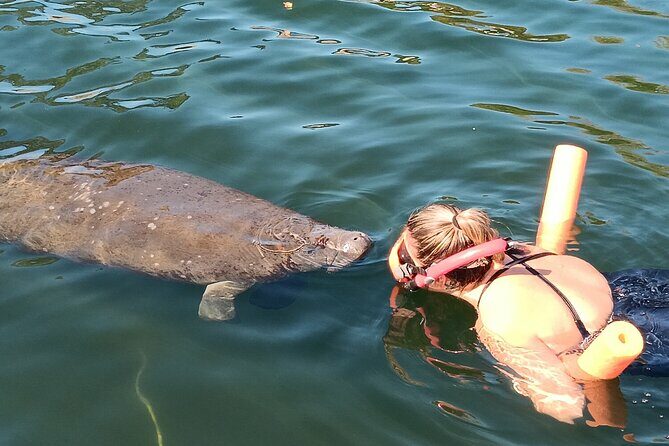 Manatee Magic Private 3 Hour Swim Heated Boat with Restroom - Introduction
