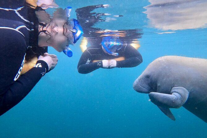 Manatee Magic Private 3 Hour Swim Heated Boat with Restroom - Why This Tour Works