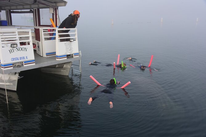 Manatee Snorkel Tour - Small Group - Customer Experiences and Feedback
