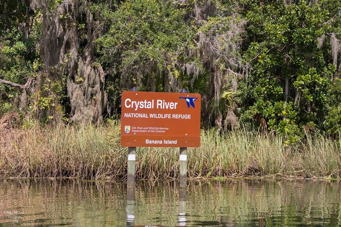 Manatee Snorkeling Crystal River Florida Semi-Private - Boat Ride to Manatee Refuge