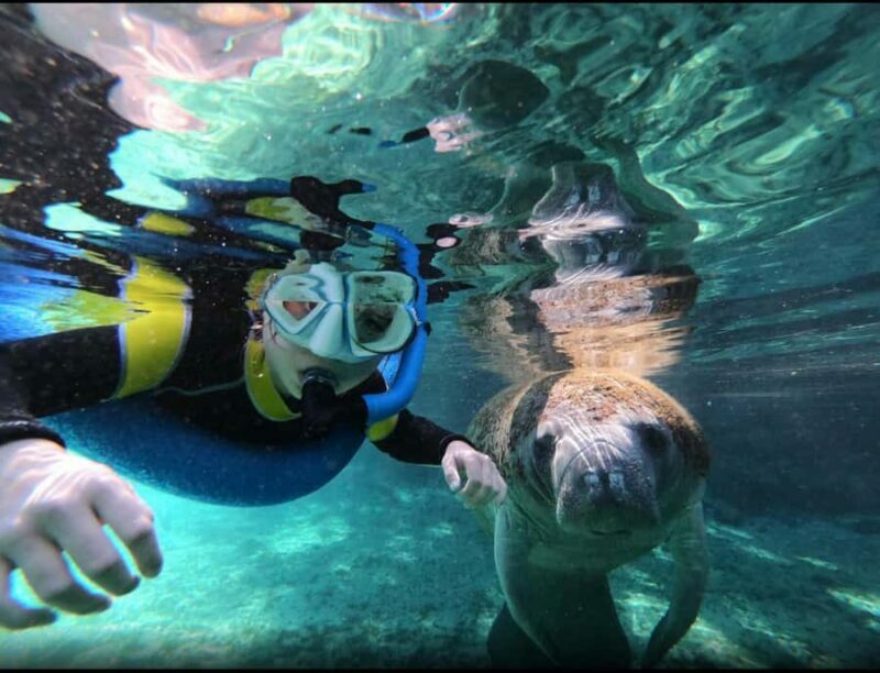 Manatee Snorkeling Tour with in water Guide and photographer - The Itinerary in Detail