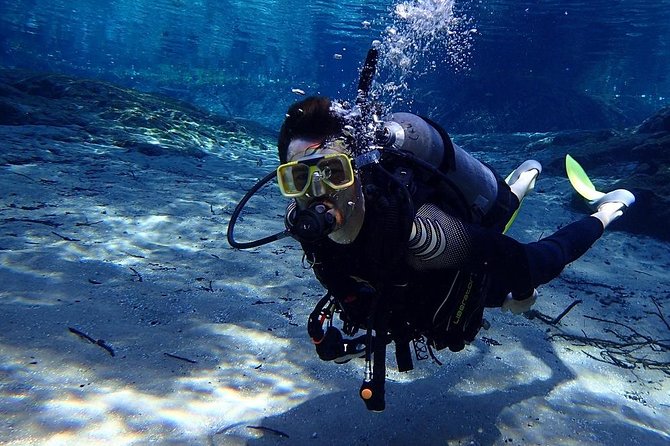 Manatees and Rainbow River by SCUBA or Snorkel - Tour Start Time and Group Size