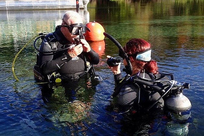 Manatees and Rainbow River by SCUBA or Snorkel - Reviews and Ratings