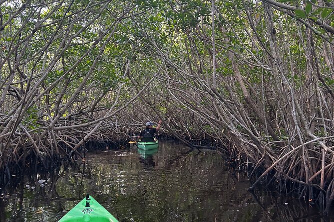 Manatees, Grasslands and Mangroves Kayak Tour (Small Group Tour) - Included Amenities and Recommendations