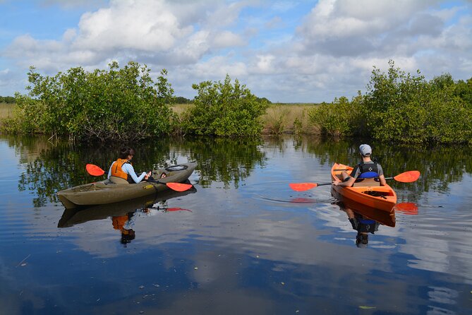 Manatees, Grasslands and Mangroves Kayak Tour (Small Group Tour) - Customer Reviews and Feedback