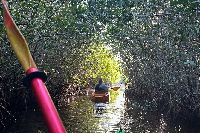 Manatees, Grasslands and Mangroves Kayak Tour (Small Group Tour) - Frequently Asked Questions