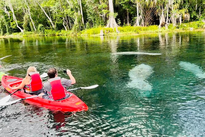 Manatees, Monkeys and Florida Natural Spring Adventure Tour - Meeting and Pickup Details