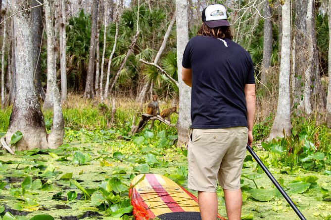 Manatees, Monkeys and Florida Natural Spring Adventure Tour - Booking Information and Pricing