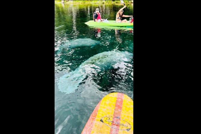 Manatees, Monkeys and Florida Natural Spring Adventure Tour - Frequently Asked Questions