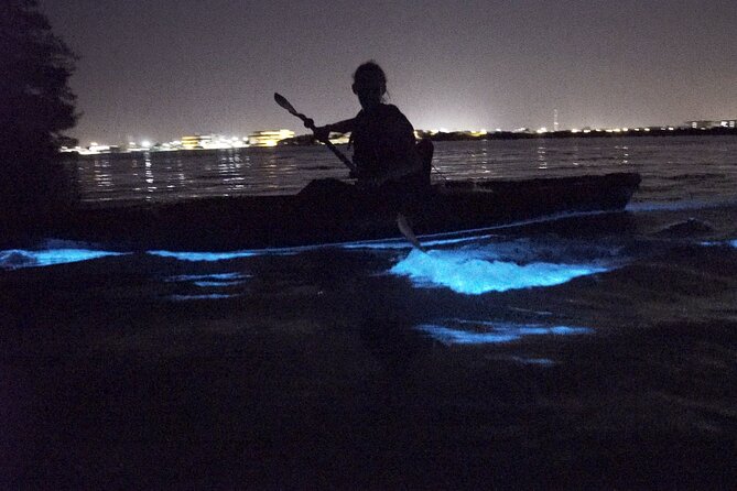 Manatees/Sunset/Bioluminescence Tour - Tour Details