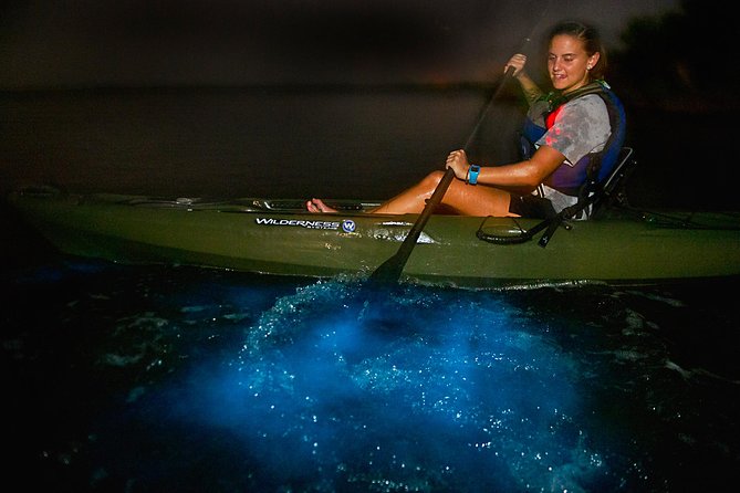 Manatees/Sunset/Bioluminescence Tour - What to Bring
