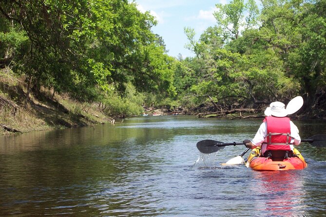 Manatees/Sunset/Bioluminescence Tour - Additional Information