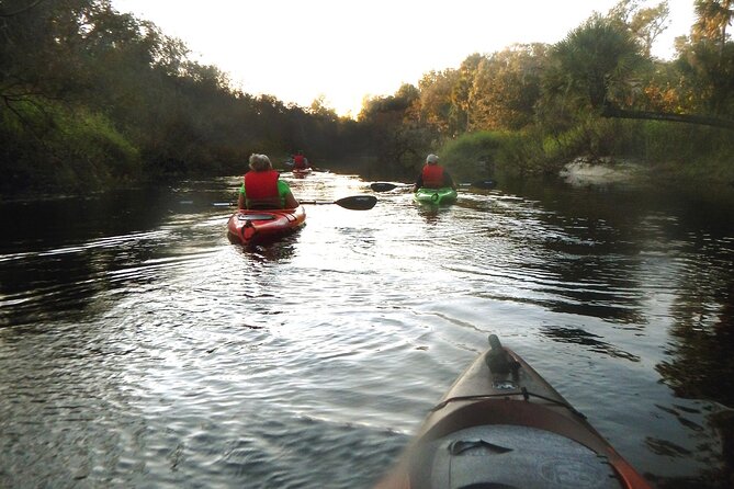 Manatees/Sunset/Bioluminescence Tour - Manatee Sightings