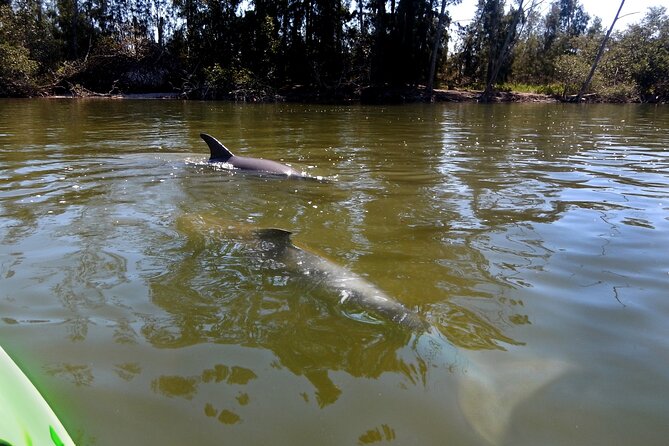 Manatees/Sunset/Bioluminescence Tour - Sunset Viewing