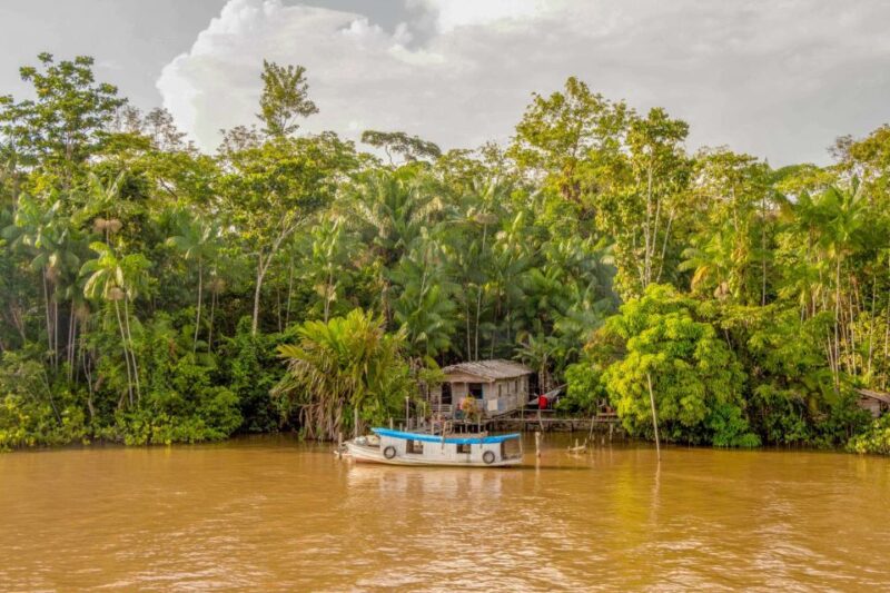 Manaus: 2, 3 or 4-Day Amazon Jungle Tour in Anaconda Lodge - Itinerary and Activities