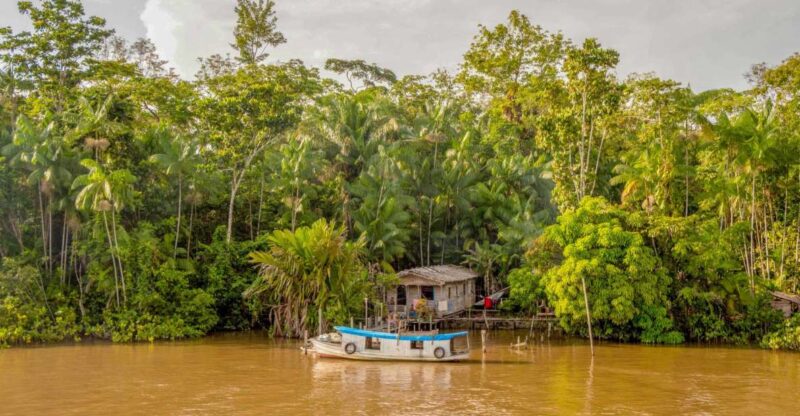 Manaus: 2, 3 or 4-Day Amazon Jungle Tour in Anaconda Lodge - Preparing for the Jungle Adventure