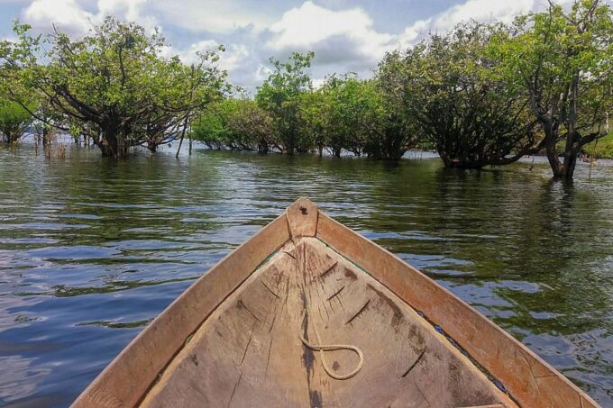 Manaus: 2, 3 or 4-Day Amazon Jungle Tour in Anaconda Lodge - Reconfirmation and Pickup/Drop-off Times