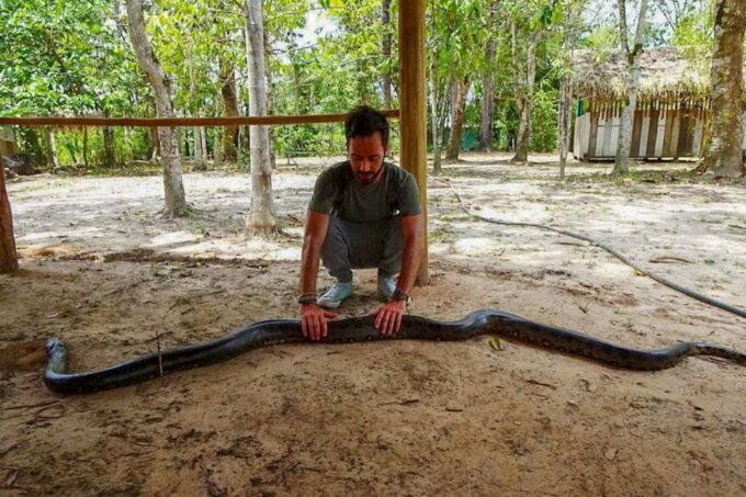 Manaus: 2, 3 or 4-Day Amazon Jungle Tour in Anaconda Lodge - Wildlife Sightings and Guarantees