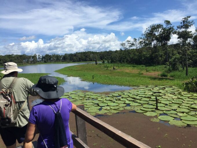 Manaus: 2-Day River Tour With Overnight Stay - Suitability and Accessibility
