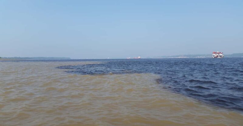 Manaus Amazon Adventure 5 Days Jungle Tour With Camping. - Detailed Itinerary