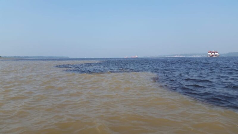 Manaus Amazon Adventure 5 Days Jungle Tour With Camping. - Booking and Availability