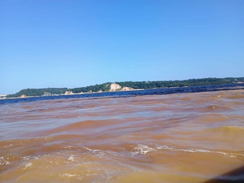 Manaus Amazon Kabanas Jungle Survival Tour 7 Days & 6 Nights - Key Points