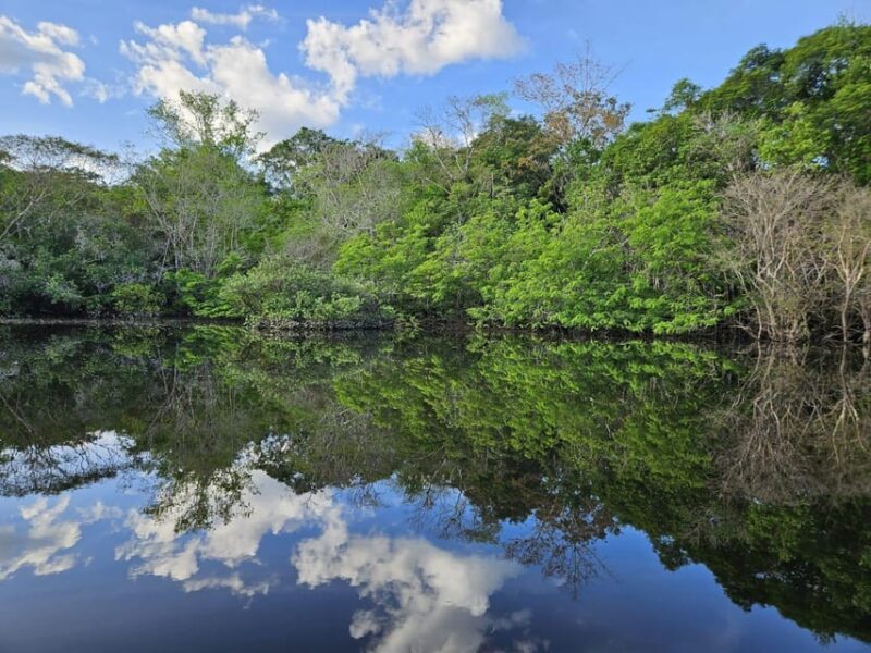 Manaus Amazon Kabanas Jungle Survival Tour 7 Days & 6 Nights - Accommodation and Meals