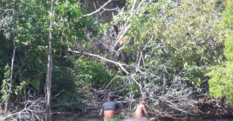 Manaus Amazon Kabanas Jungle Survival Tour 7 Days & 6 Nights - Inclusions and Exclusions