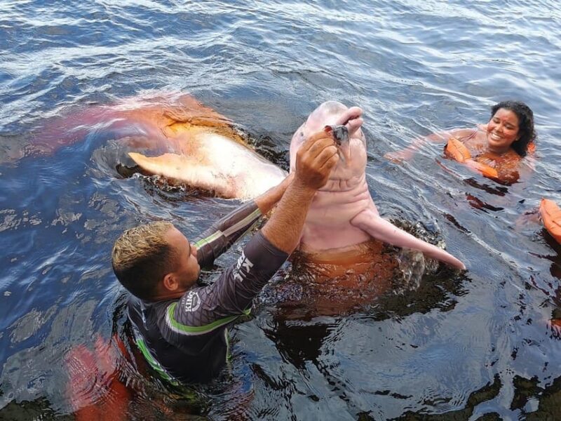 Manaus Amazon Rio Negro Camping Tour- 4 Days Tour - Tour Restrictions