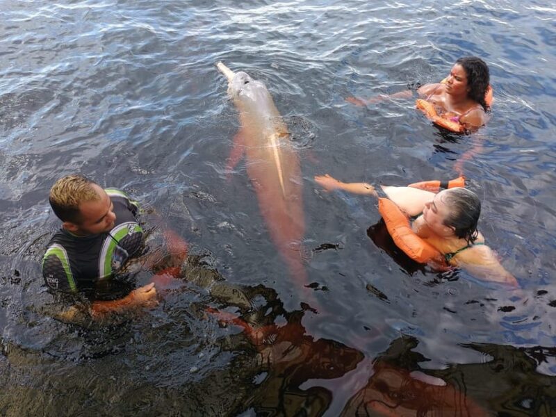 Manaus Amazon Rio Negro Tour 3 Fantastic Days at Tucan Lodge - Itinerary Day 3