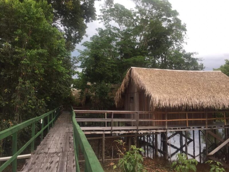 Manaus Amazon Rio Negro Tour 3 Fantastic Days at Tucan Lodge - Included in the Tour