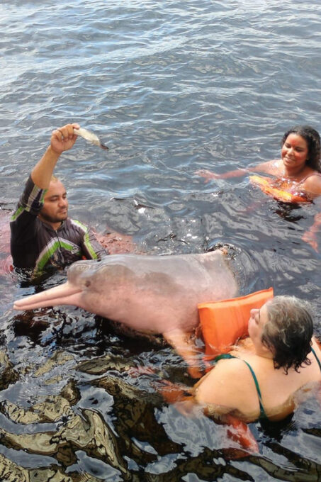 Manaus Amazon Rio Negro Tour 3 Fantastic Days at Tucan Lodge - Excluded From the Tour