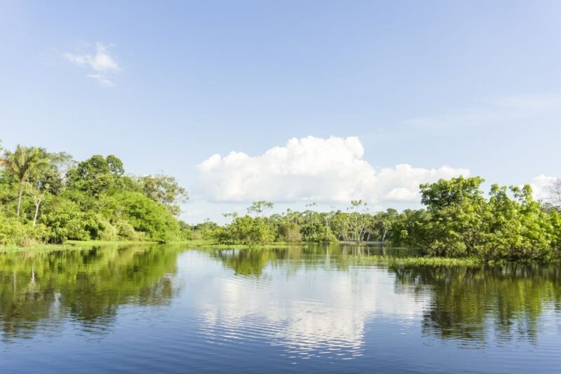 Manaus: Amazon River Stand-Up Paddle - Highlights of the Experience