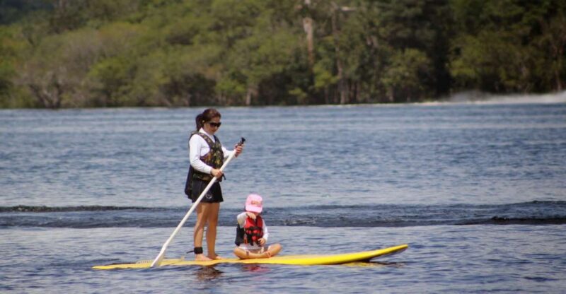 Manaus: Amazon River Stand-Up Paddle - Pricing and Booking Details