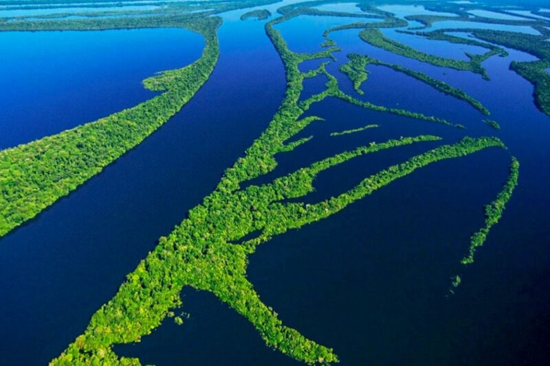 Manaus: Amazonas Jungle Trek & Anavilhanas Archipelago - Key Points