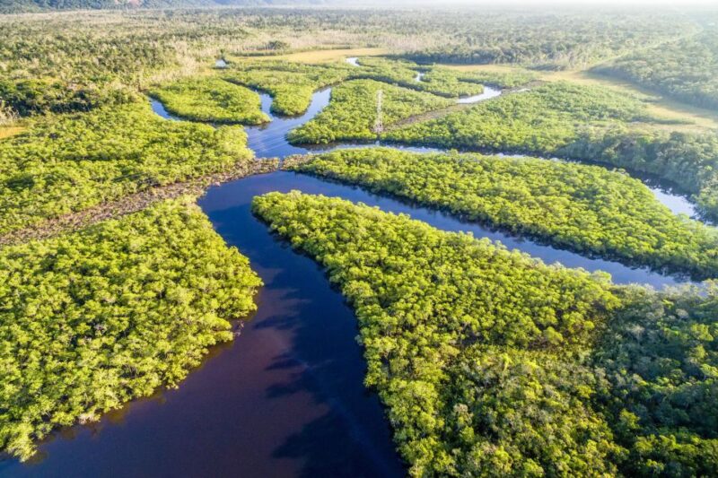 Manaus: Amazonas Jungle Trek & Anavilhanas Archipelago - Included Activities