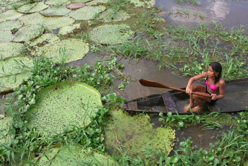 Manaus: Full-Day Tour on the Amazon River - Cost and Cancellation