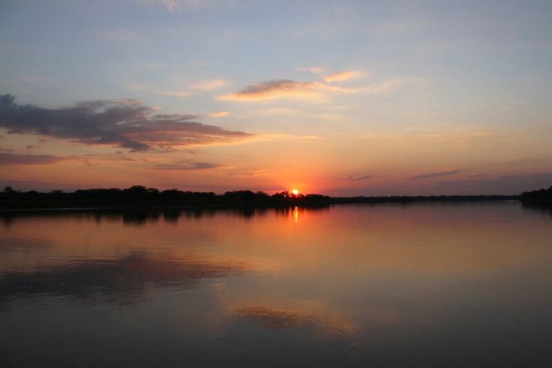 Manaus: Guided Amazon Dolphins Day Trip With Boat and Pickup - Interacting With the Dolphins
