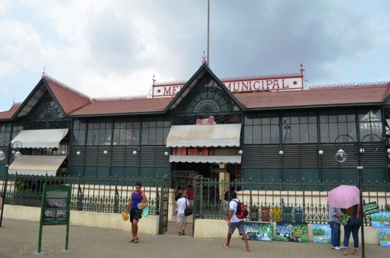 Manaus: Half-Day City Tour - Transportation and Accessibility Considerations