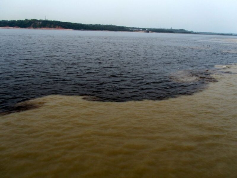 Manaus: Meeting of the Waters & Pink Dolphin Tour With Lunch - Key Points