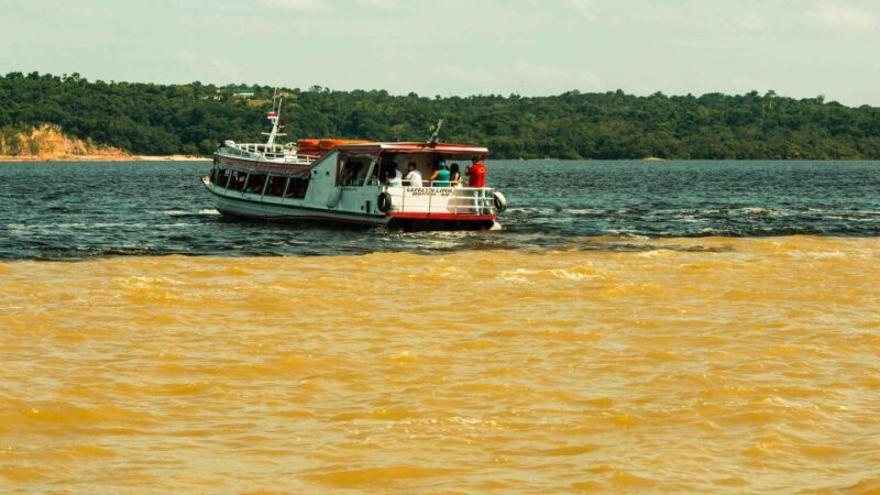 Manaus: Meeting of the Waters & Pink Dolphin Tour With Lunch - Witnessing the Meeting of the Waters