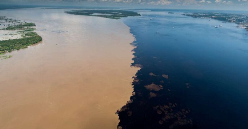 Manaus: Meeting of the Waters & Pink Dolphin Tour With Lunch - Swimming With Pink Dolphins