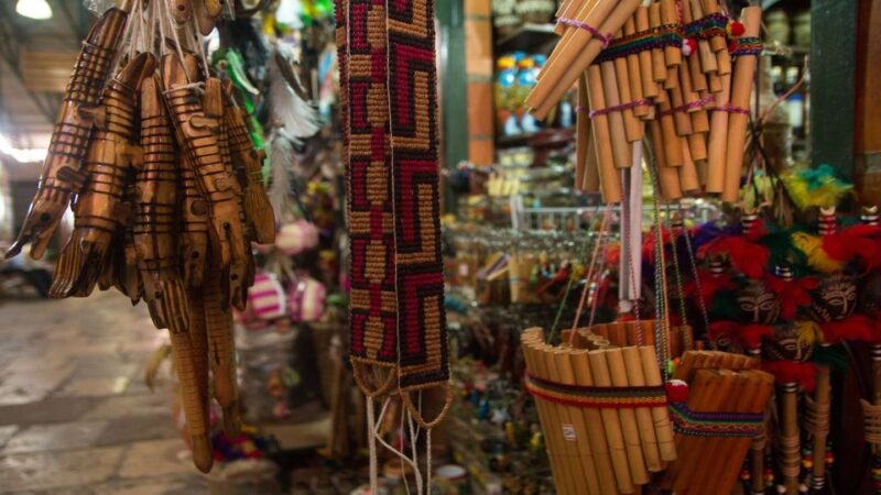 Manaus: Meeting of the Waters & Pink Dolphin Tour With Lunch - Visiting an Indigenous Village