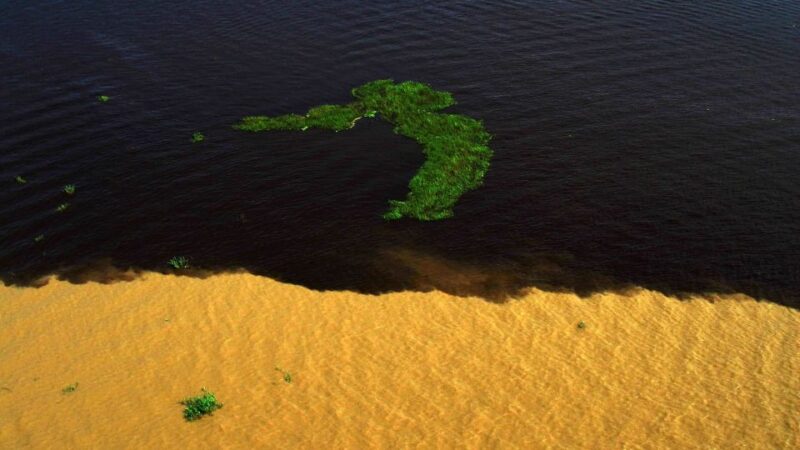 Manaus: Meeting of the Waters & Pink Dolphin Tour With Lunch - Indulging in Regional Cuisine