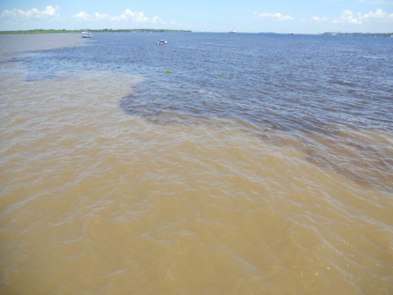 Manaus: Multi-Day Amazon Trip at Tapiri Floating Lodge - Key Points