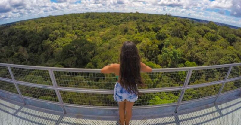 Manaus: MUSA and INPA Museums With Observation Tower Tour - Amazonian Museum (MUSA)