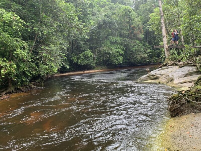 Manaus: President Figueiredo Caves and Waterfalls Tour - Key Points