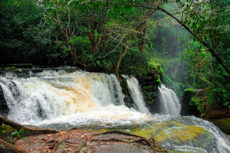 Manaus: President Figueiredo Caves and Waterfalls Tour - Duration and Pickup