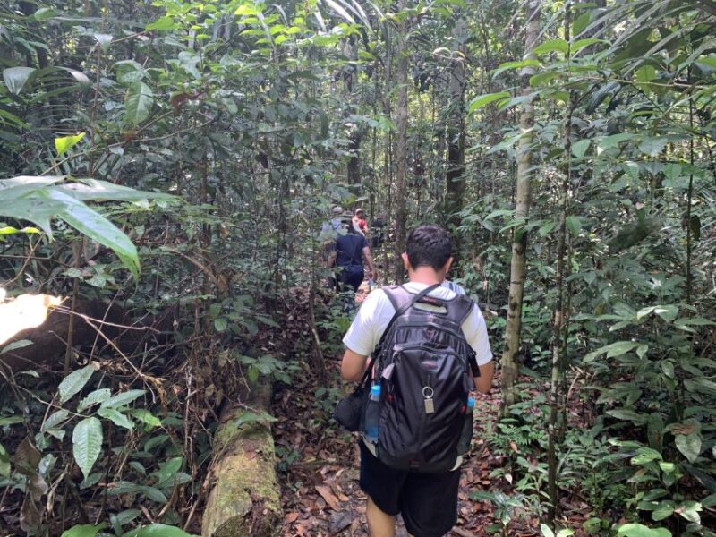 Manaus: President Figueiredo Caves and Waterfalls Tour - Lunch at Urubuí Rapids